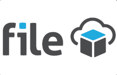 FILE
