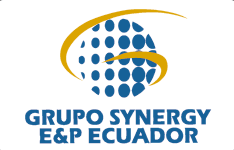 GRUPO SYNERGY